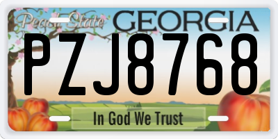 GA license plate PZJ8768
