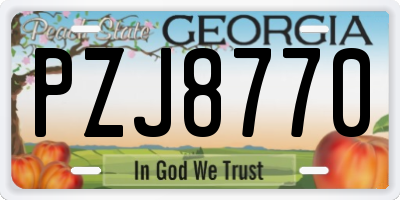 GA license plate PZJ8770