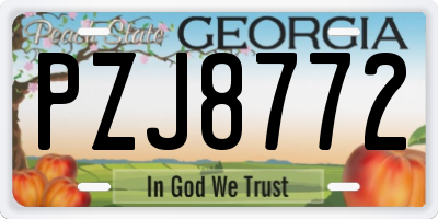 GA license plate PZJ8772