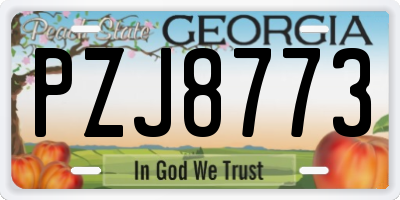 GA license plate PZJ8773