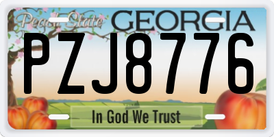 GA license plate PZJ8776