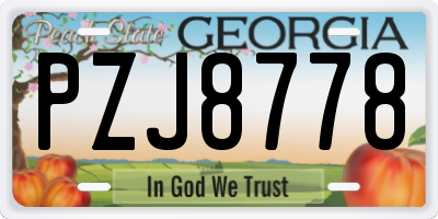 GA license plate PZJ8778