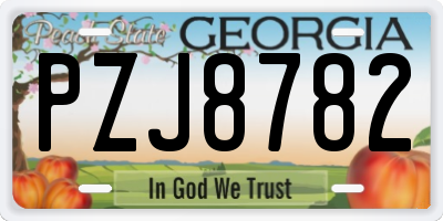 GA license plate PZJ8782