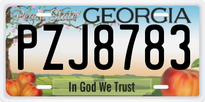 GA license plate PZJ8783