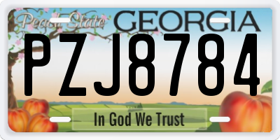GA license plate PZJ8784
