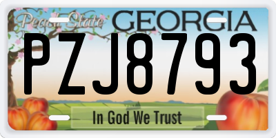 GA license plate PZJ8793