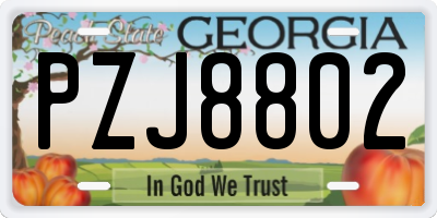 GA license plate PZJ8802