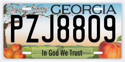 GA license plate PZJ8809