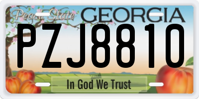 GA license plate PZJ8810