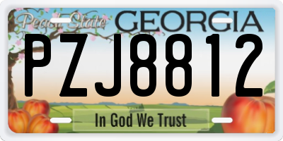 GA license plate PZJ8812