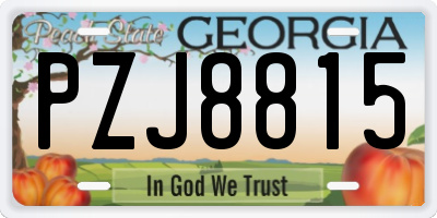 GA license plate PZJ8815