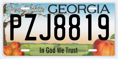 GA license plate PZJ8819