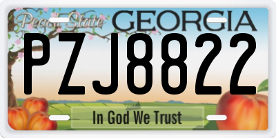 GA license plate PZJ8822