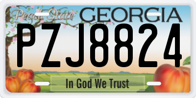 GA license plate PZJ8824