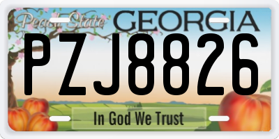 GA license plate PZJ8826