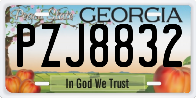 GA license plate PZJ8832