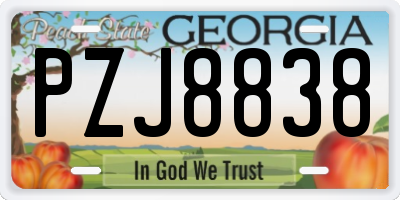 GA license plate PZJ8838