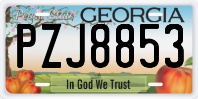 GA license plate PZJ8853