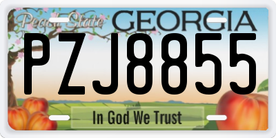 GA license plate PZJ8855