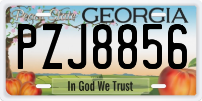 GA license plate PZJ8856