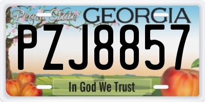 GA license plate PZJ8857