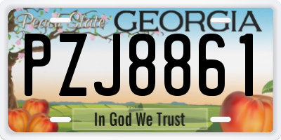 GA license plate PZJ8861