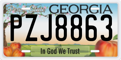 GA license plate PZJ8863