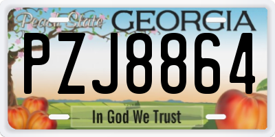GA license plate PZJ8864