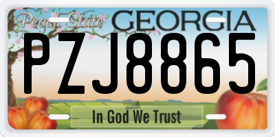 GA license plate PZJ8865