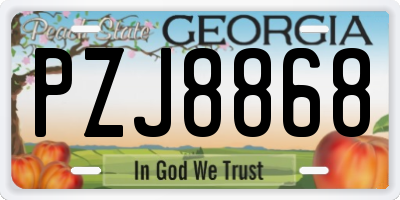 GA license plate PZJ8868