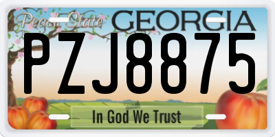GA license plate PZJ8875