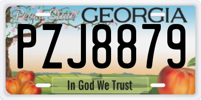 GA license plate PZJ8879