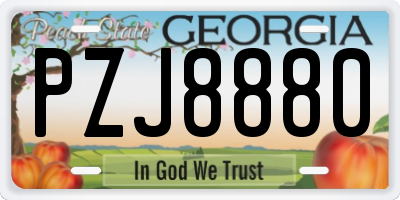 GA license plate PZJ8880