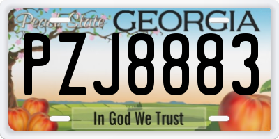 GA license plate PZJ8883