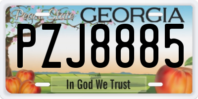 GA license plate PZJ8885