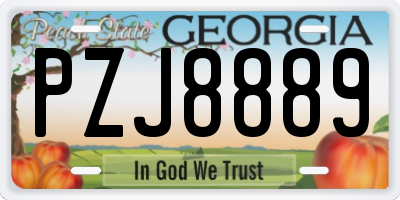 GA license plate PZJ8889