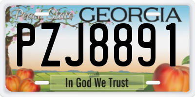 GA license plate PZJ8891