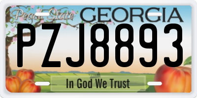GA license plate PZJ8893