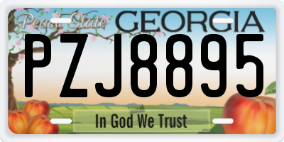 GA license plate PZJ8895