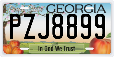 GA license plate PZJ8899