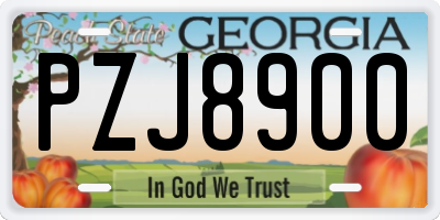 GA license plate PZJ8900