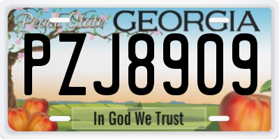 GA license plate PZJ8909