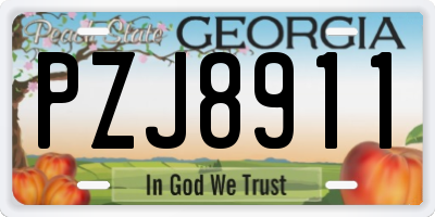 GA license plate PZJ8911
