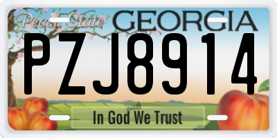 GA license plate PZJ8914
