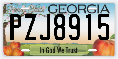GA license plate PZJ8915