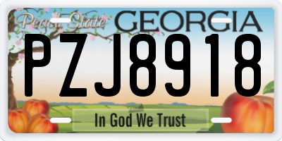 GA license plate PZJ8918