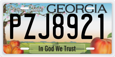 GA license plate PZJ8921