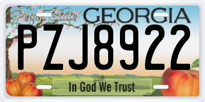 GA license plate PZJ8922