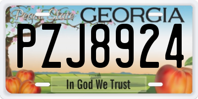 GA license plate PZJ8924