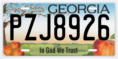 GA license plate PZJ8926